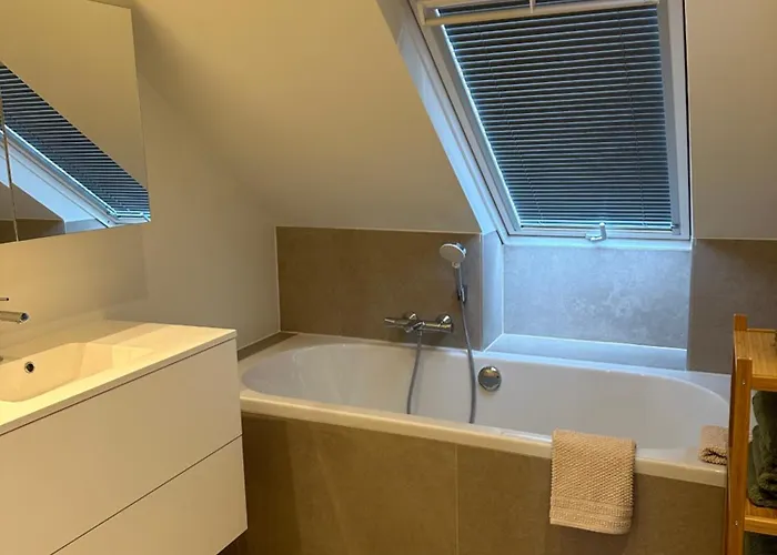 Marguerite 奥斯滕德